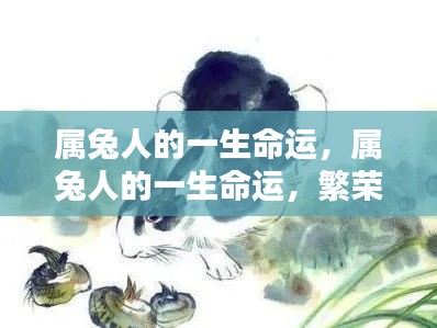 属兔人的一生命运,繁荣与机遇并存,命运波折与机遇并存的道路探索