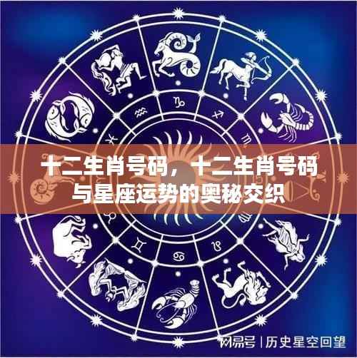 十二生肖号码与星座运势交织的奥秘探索