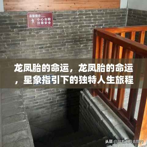 龙凤胎的独特人生,星象指引下的命运之旅