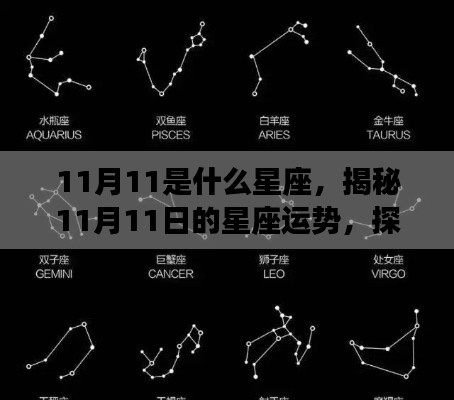 揭秘11月11日的星座运势与星辰轨迹,探寻属于你的星座命运