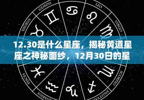 揭秘黄道星座之神秘面纱,12月30日星座运势解析及运势特点