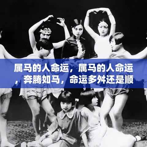 属马人的命运,奔腾之路,多舛还是顺风?