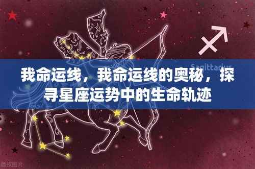探寻星座运势中的生命轨迹,我命运线的奥秘