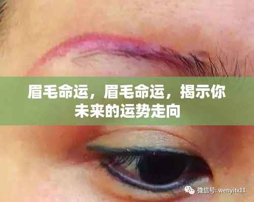 眉毛命运揭秘,探索眉型预知未来运势走向的神秘力量
