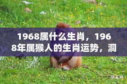 1968年属猴人的运势分析及生肖挑战与机遇展望