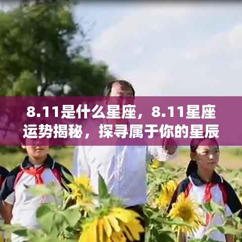 越鸟南栖 第3页