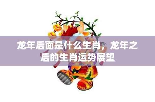 龙年后生肖运势展望,揭秘下一个生肖的运势与特点