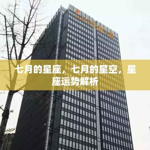 七月星座运势解析,星空下的秘密与运势揭秘