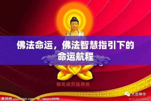 佛法智慧引领命运航程,探寻命运与智慧的交融之道