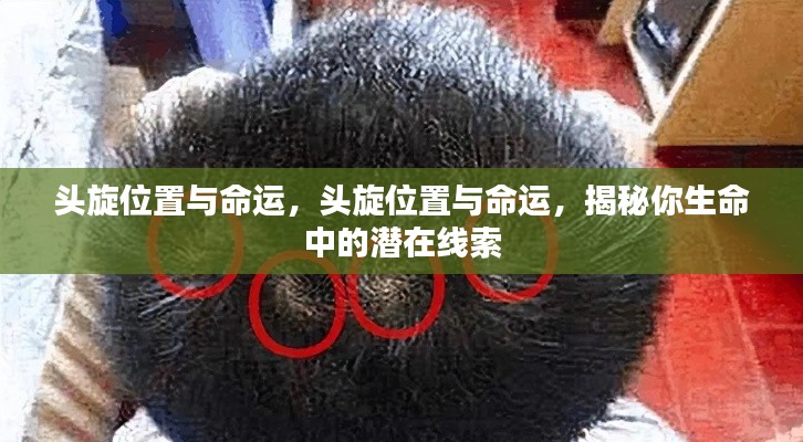 头旋位置揭示命运潜在线索,探寻生命奥秘的启示