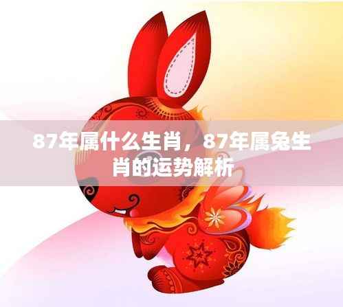 1987年属兔人的运势解析与生肖特征