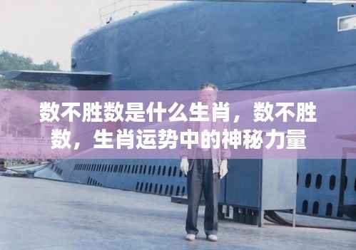 生肖运势揭秘,神秘力量下的数不胜数生肖揭秘