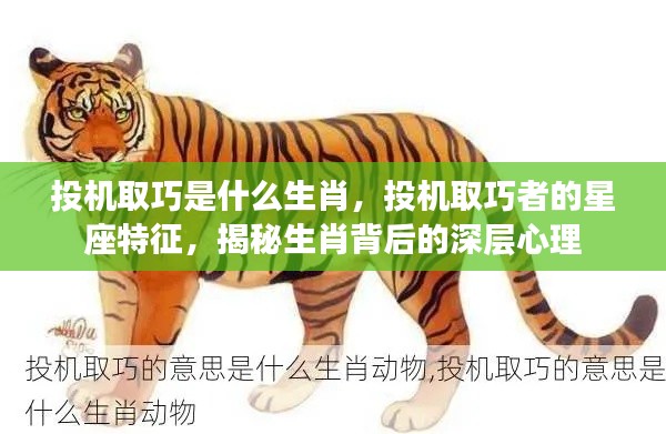 揭秘投机取巧者的星座特征与生肖背后的深层心理分析