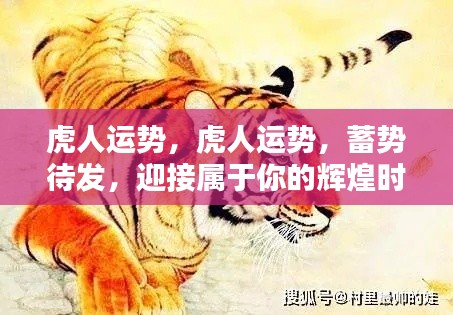 虎人蓄势待发,迎接属于你的辉煌时刻运势展望