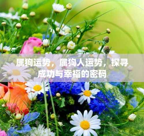 属狗人的成功与幸福密码,揭秘运势奥秘