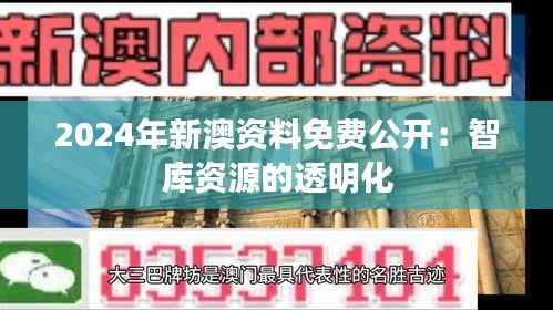2024年新澳资料免费公开:智库资源的透明化