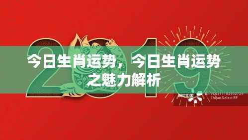 今日生肖运势详解,魅力解析与运势展望