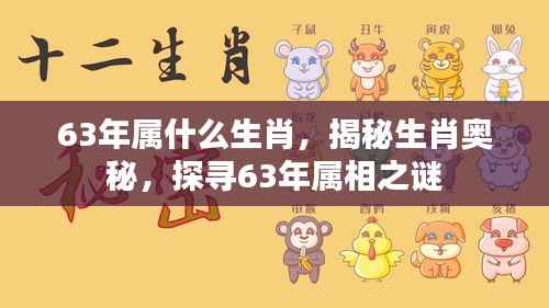 揭秘生肖奥秘,探寻1963年属相之谜——属兔还是属其他?