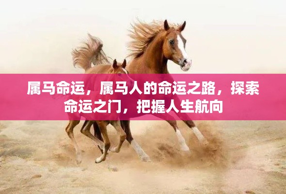 属马人的命运探索,把握人生航向,揭秘命运之门