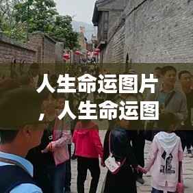 星座指引下的命运轮廓,人生命运图片探索之旅