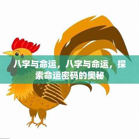八字与命运,解锁命运密码的奥秘探索