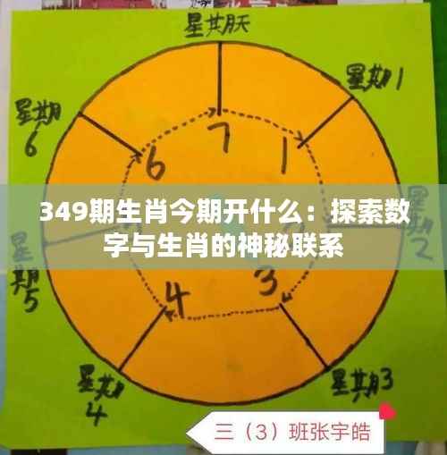 349期生肖今期开什么:探索数字与生肖的神秘联系