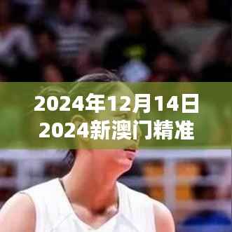2024年12月14日2024新澳门精准免费大全:澳门的音乐节与演唱会信息汇