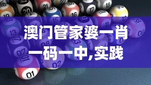 澳门管家婆一肖一码一中,实践性执行计划_iPad7.611