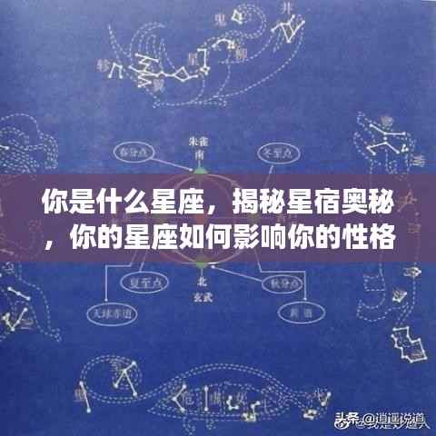 揭秘星座奥秘,你的星座如何塑造性格与未来?