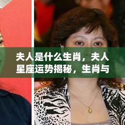 夫人星座与生肖运势揭秘,命运之舞与生肖的秘密