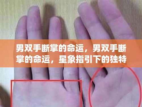 男双手断掌的命运,星象指引下的独特人生轨迹探索