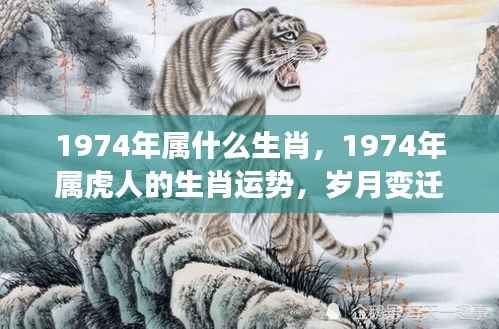 岁月变迁中的独特魅力与机遇,揭秘1974年属虎人的生肖运势与生肖魅力
