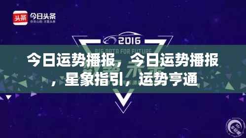 今日运势播报,星象指引下的运势亨通概览