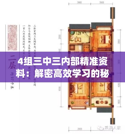 4组三中三内部精准资料:解密高效学习的秘密武器