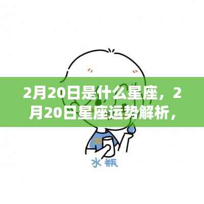 2月20日星座运势揭秘,探寻属于你的星座奥秘
