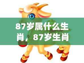 揭秘生肖奥秘,岁月流转下的命运之星——属相揭秘之87岁生肖篇