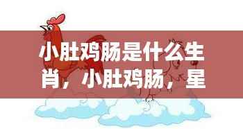 小肚鸡肠背后的微妙心理与星座运势解析——揭秘生肖的秘密