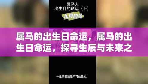 属马人的出生日命运探究,生辰与未来之路的探寻
