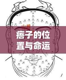 揭秘痦子的位置与命运关联,星相与面相的奥秘图解