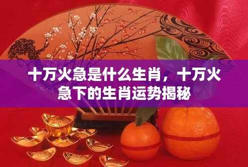 十万火急下的生肖运势揭秘,揭秘生肖与紧急情况的关联