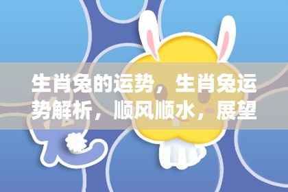 生肖兔运势展望,顺风顺水,美好未来可期