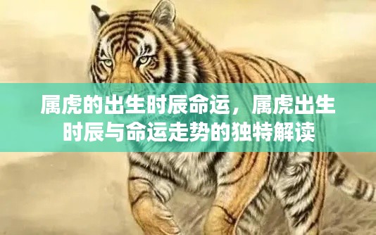 焚膏继晷 第5页