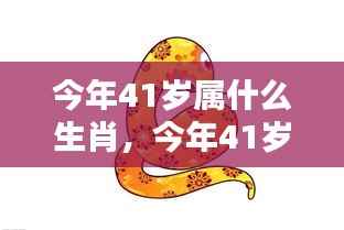 今年41岁属什么生肖?运势详解