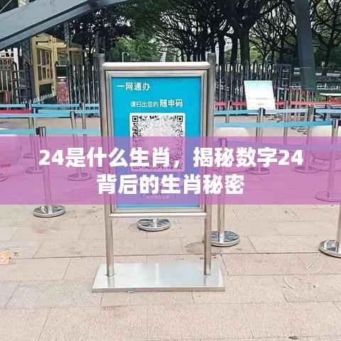 揭秘数字背后的生肖秘密,24代表什么生肖?