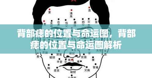 背部痣的位置与命运解析图,揭示命运与痣相的联系