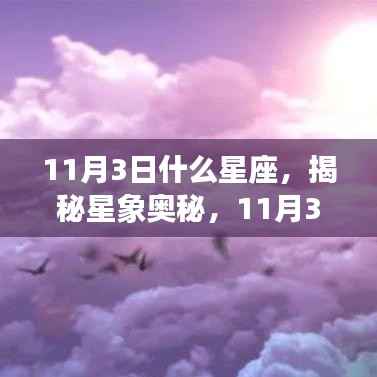 揭秘星象奥秘,11月3日星座深度解析与运势展望