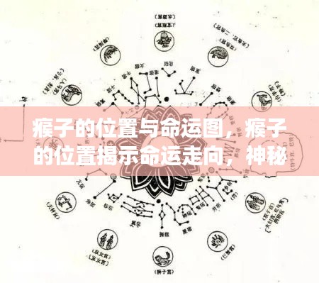 瘊子位置与命运图，神秘星象揭示生命走向的奥秘
