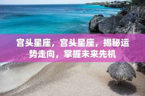 宫头星座揭秘,掌握运势走向,引领未来先机