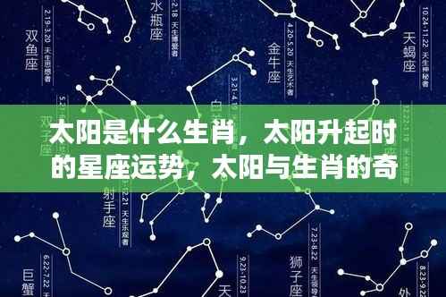 太阳生肖与星座运势揭秘,生肖与星座交汇的奇妙缘分