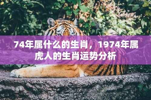 1974年属虎人的生肖运势详解